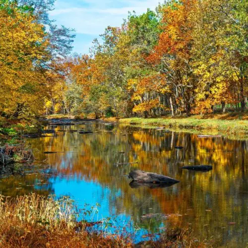 Colorful Autumn reflections on Tohickon Creek in Bucks County Pennsylvania.