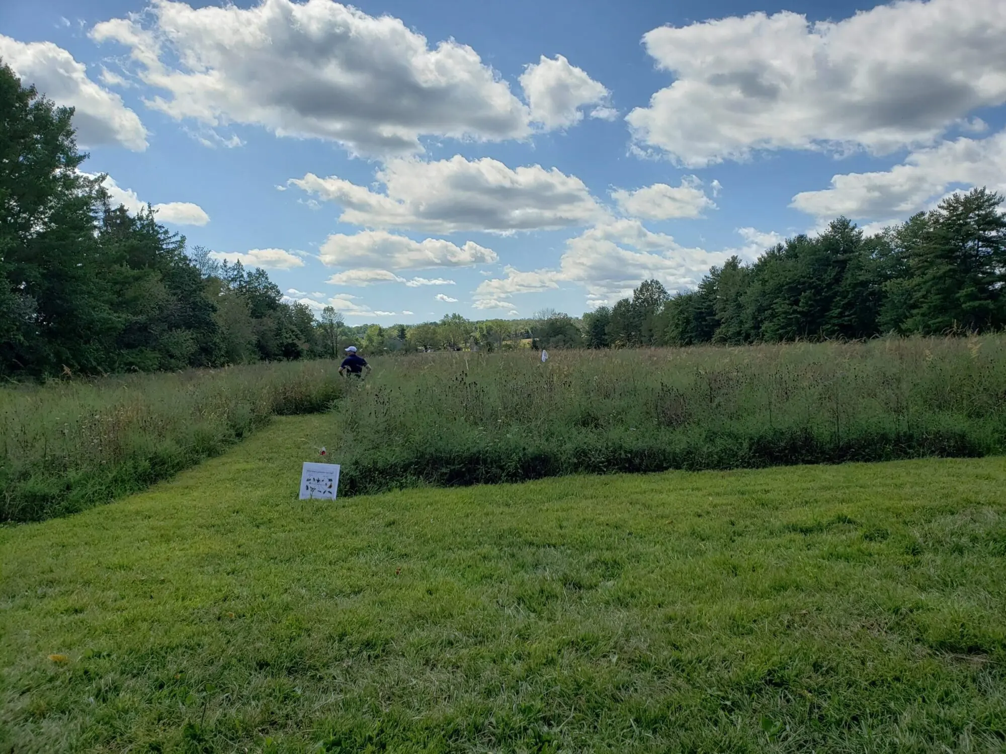 Jackson-Pond_Forest-Grove_Pollinator-event_summer-2019 (4)