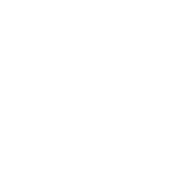 icon-information-white