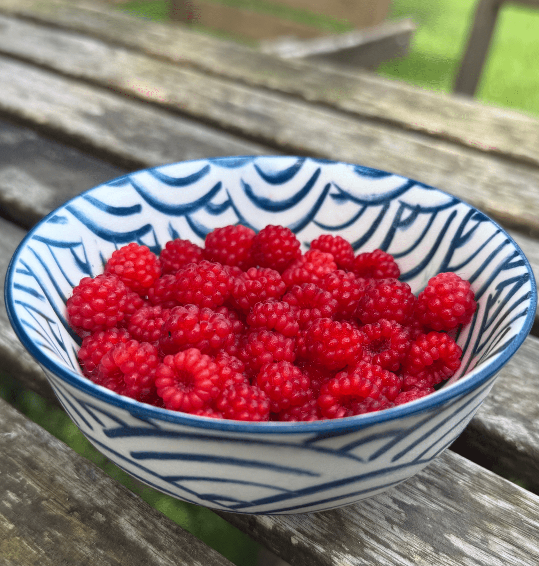 Wineberries in a bowl