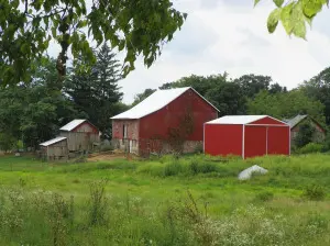 11.-2135-Route-212-300×224