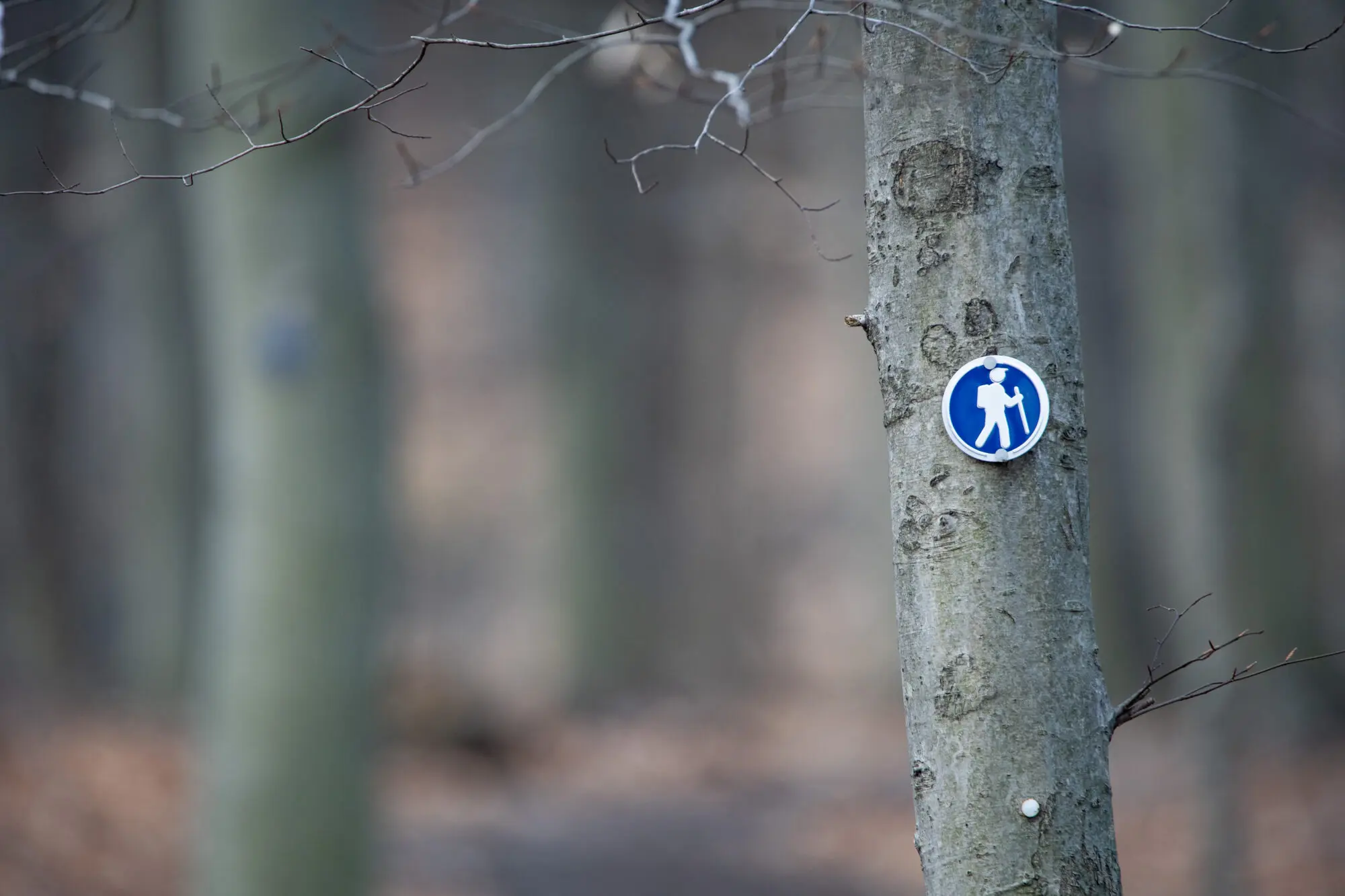 Hart's Woods Nature Preserve Map