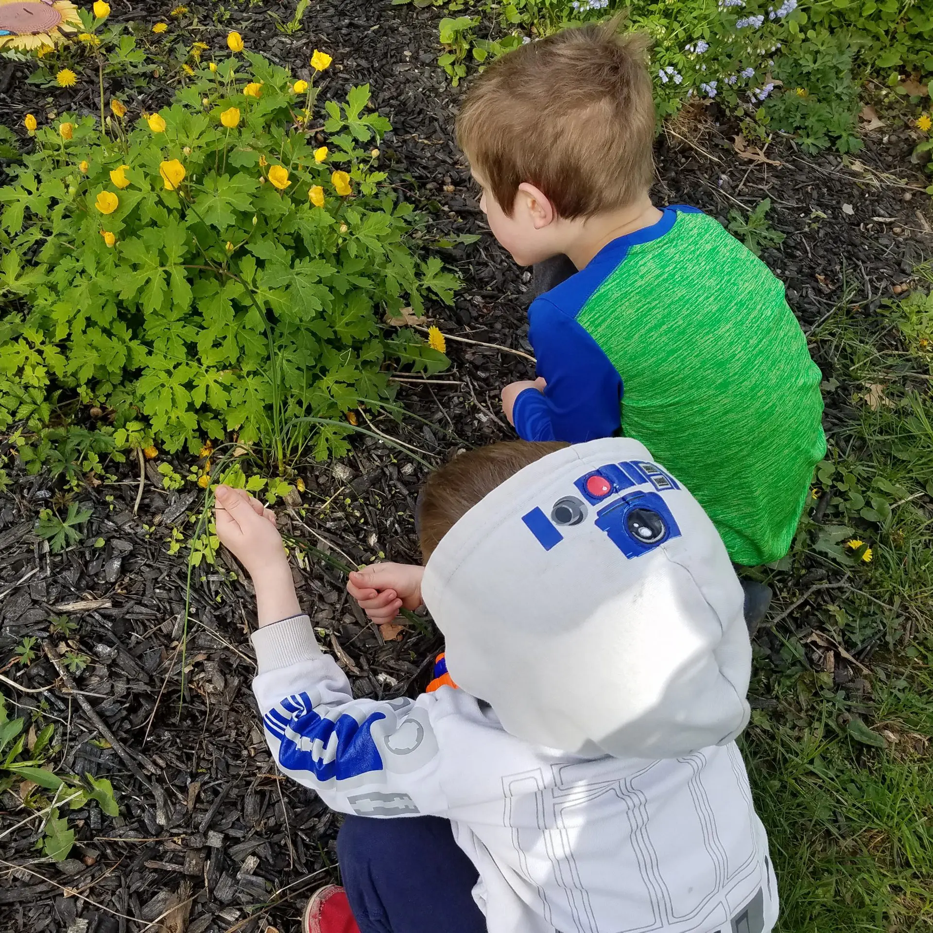 AHWN-Page-Header-scaled