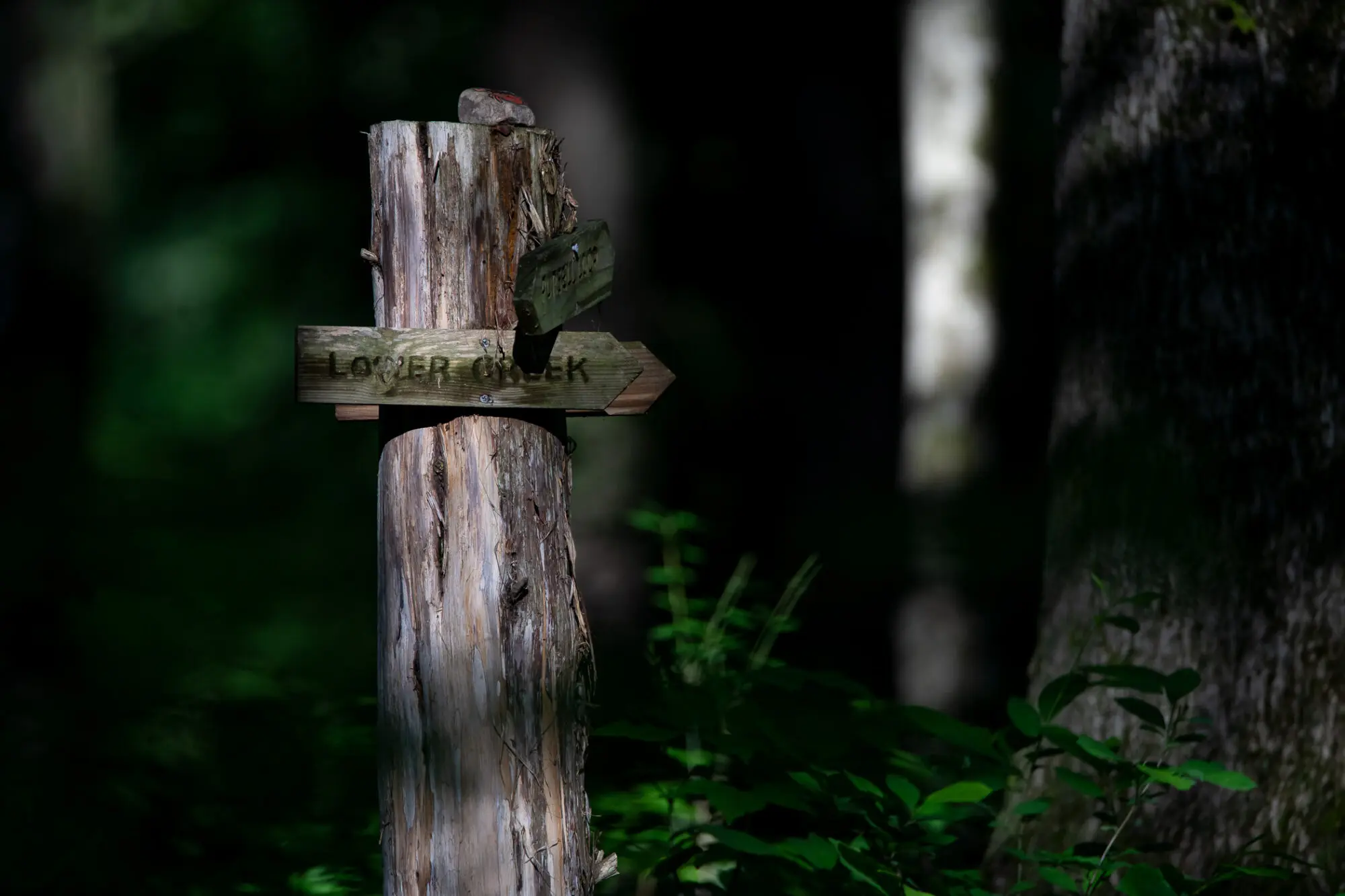 Fuller-Pursell Nature Preserve