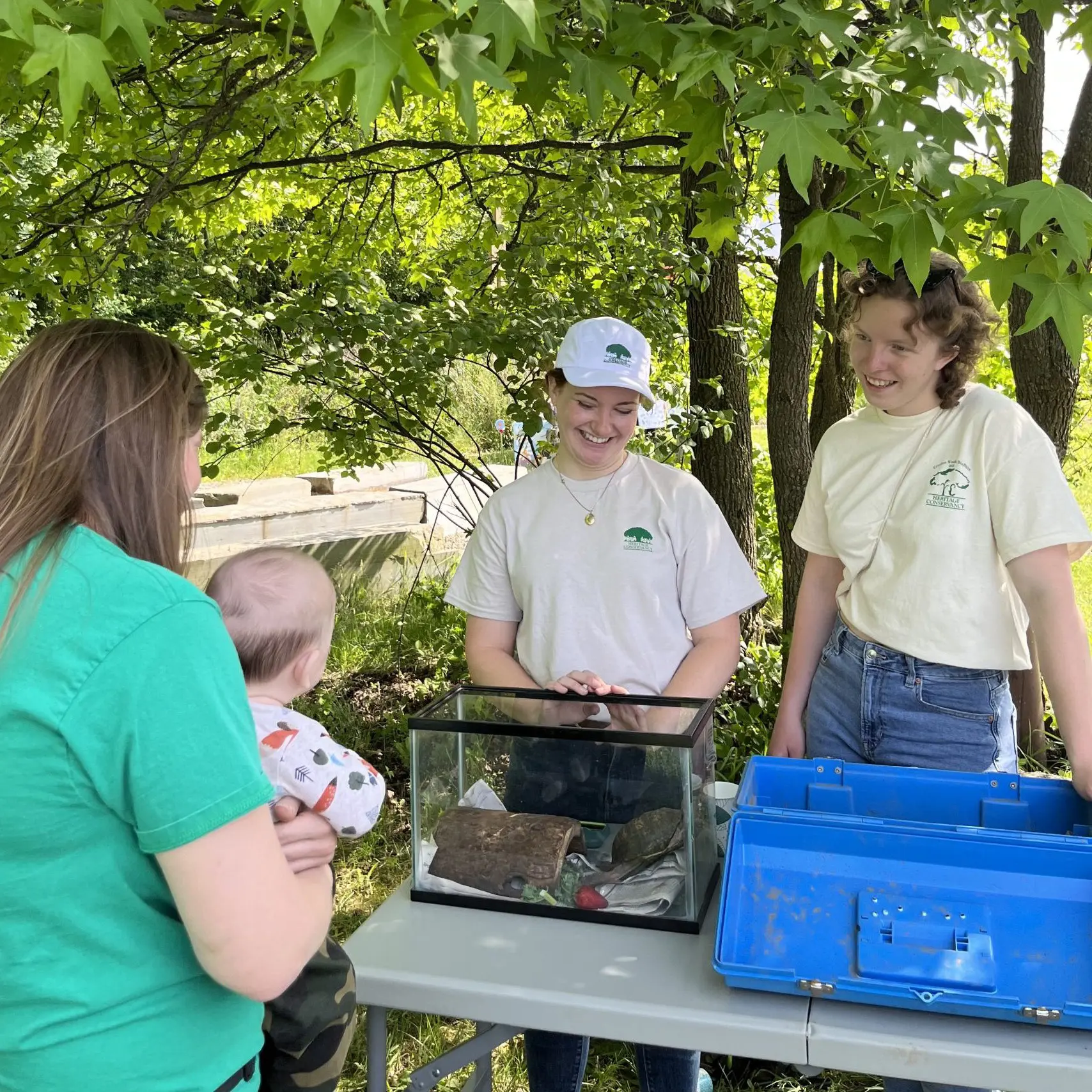 IMG-0819-scaled-e1687285690894