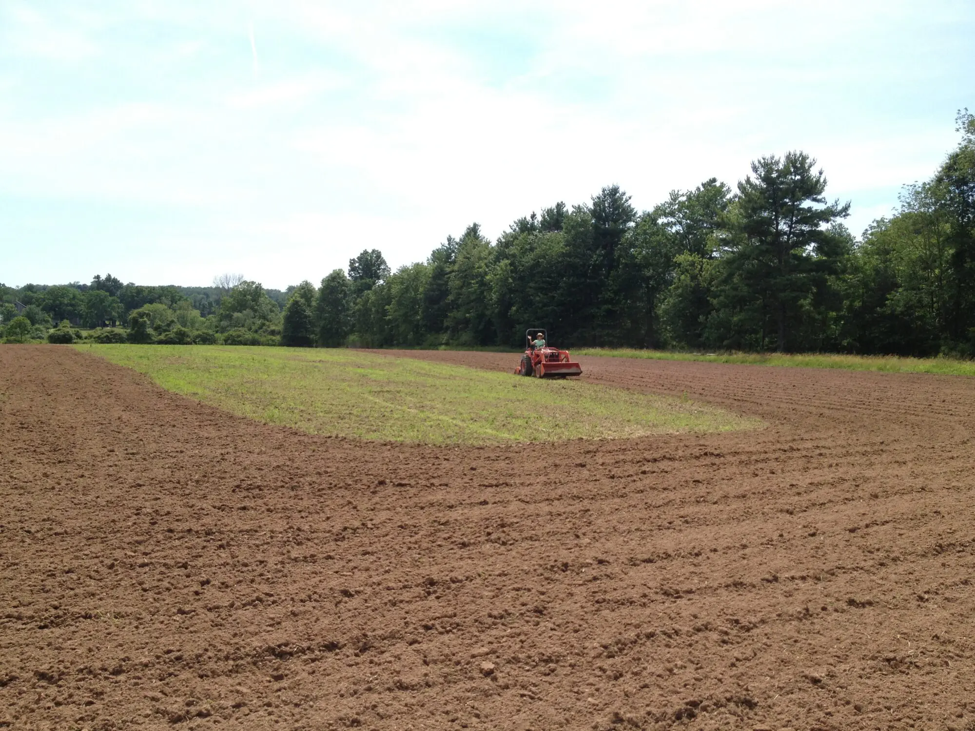 wildflower meadow at Jackson pond