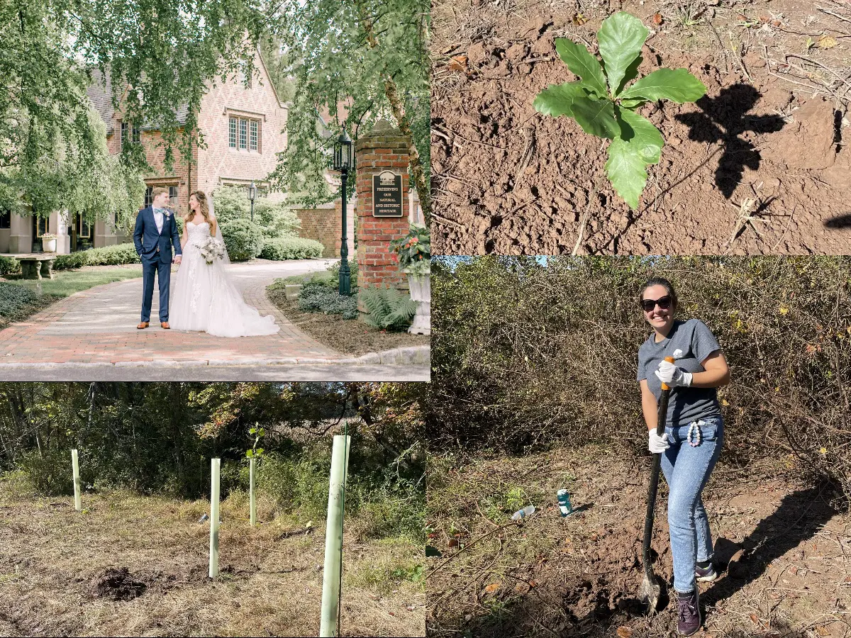 Newlywed Tree Planting Volunteers