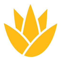 icon-aloe-yellow