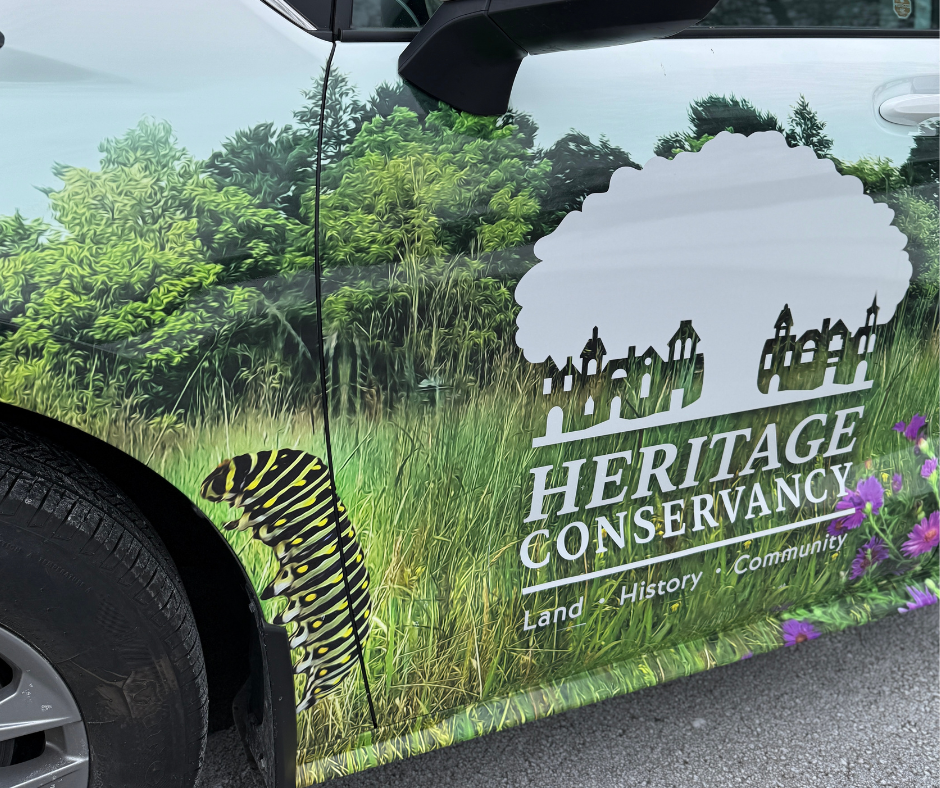 monarch caterpillar on naturemobile