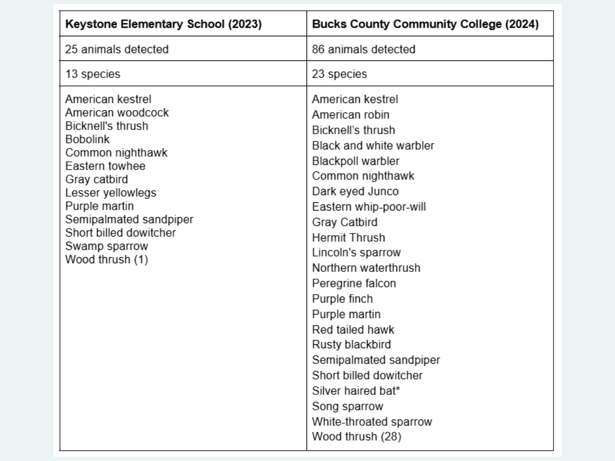 Table of wildlife detections at Heritage Conservancy's Motus stations