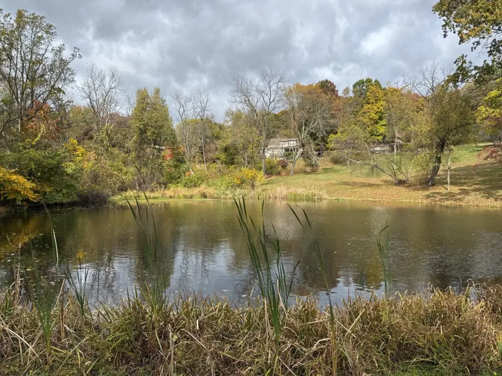 Kutz North property