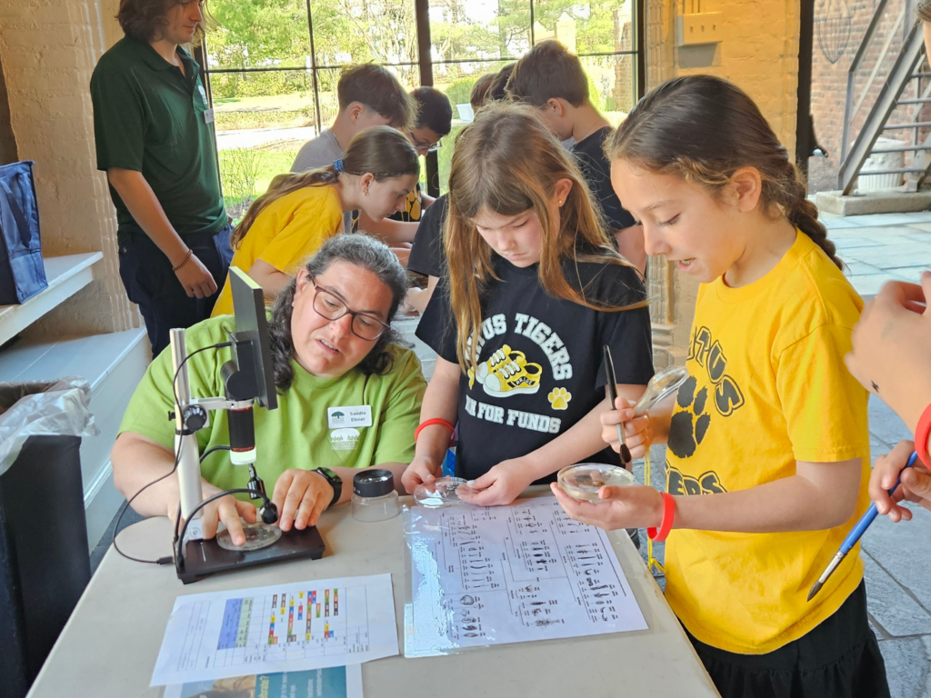 Students view macroinvertebrates under a microscope