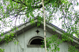 swallow holes in barn