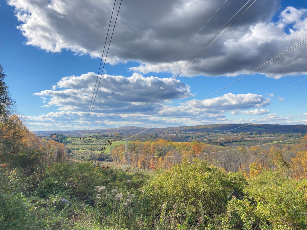 View from Zisko property