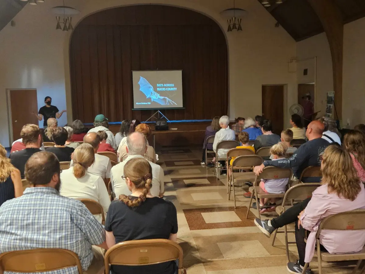 bats across bucks county event