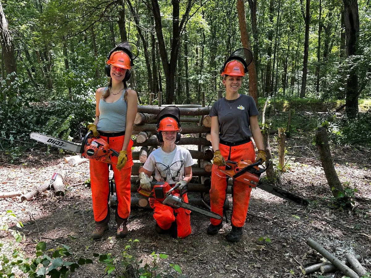 summer interns