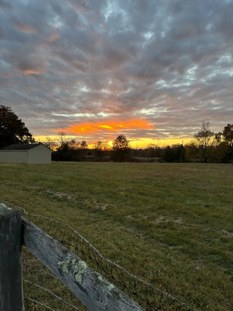 beck property
