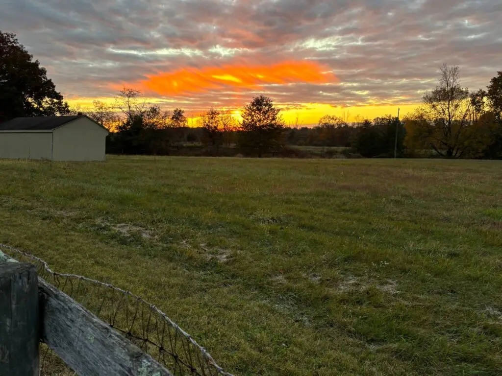 beck property