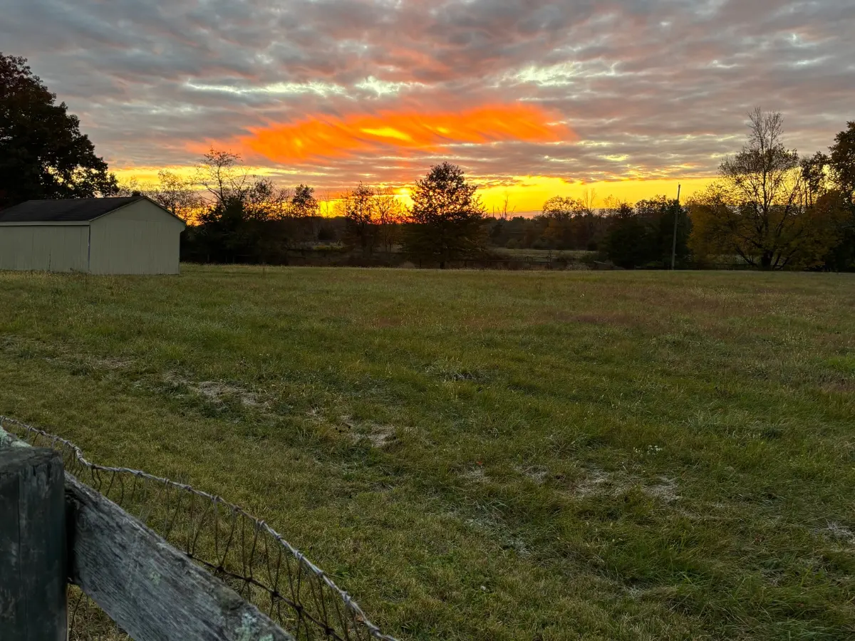 beck property