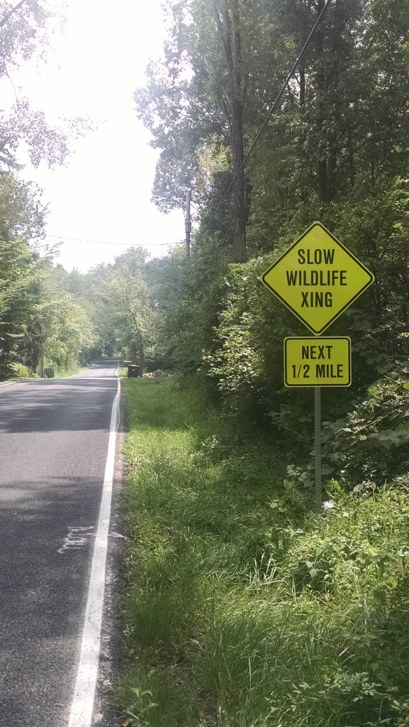 wildlife crossing sign