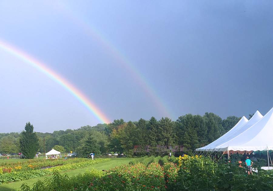 Farm to Table rainbow
