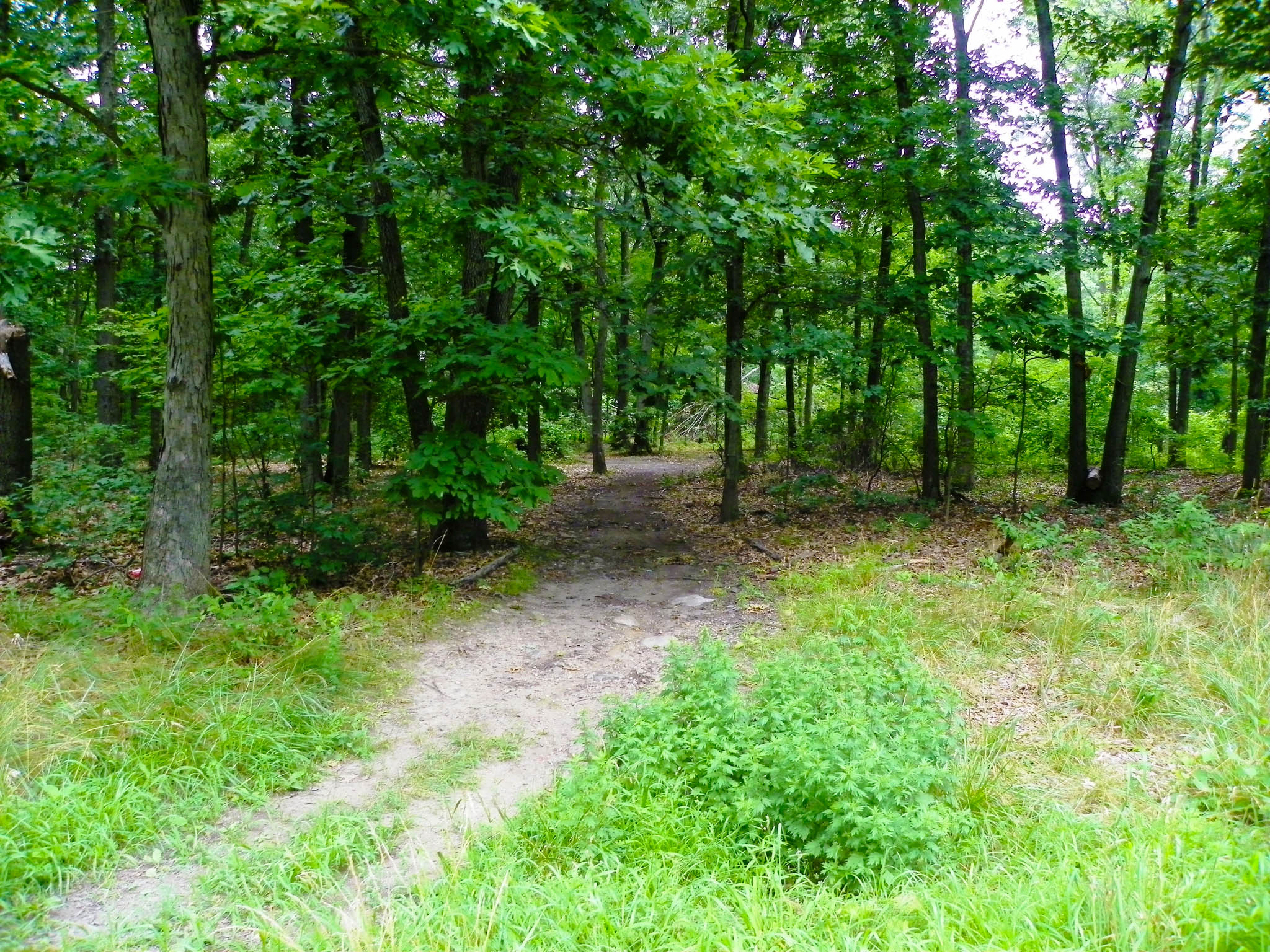 Croydon Woods Nature Preserve Heritage Conservancy