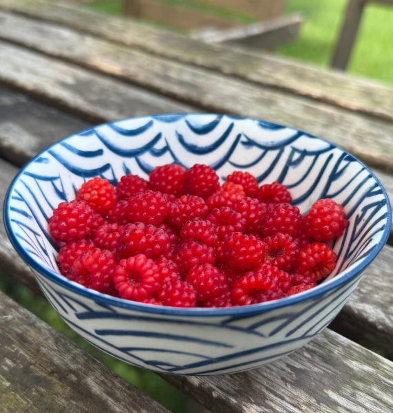 Wineberries in a bowl