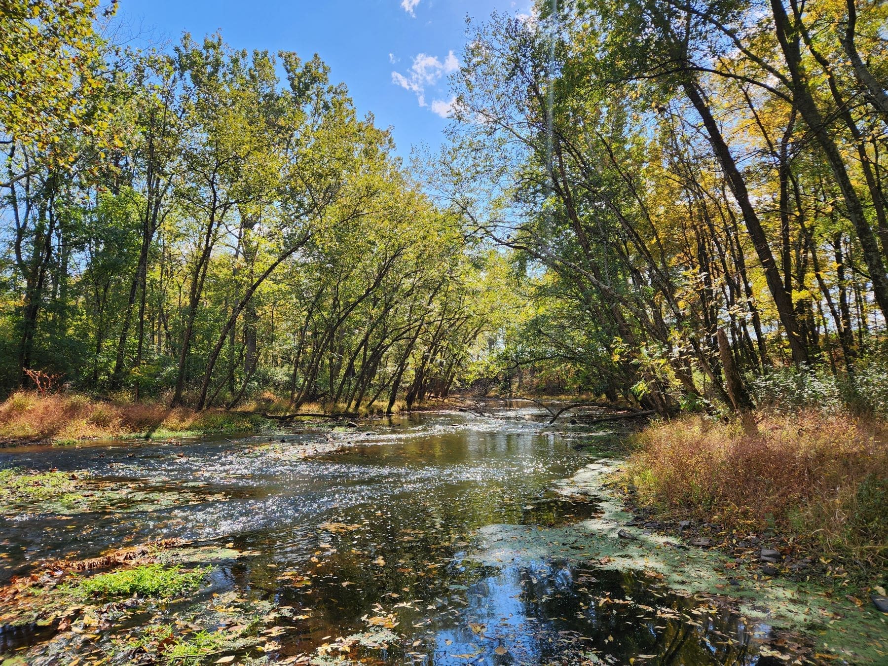 Land Conservation at Heritage Conservancy