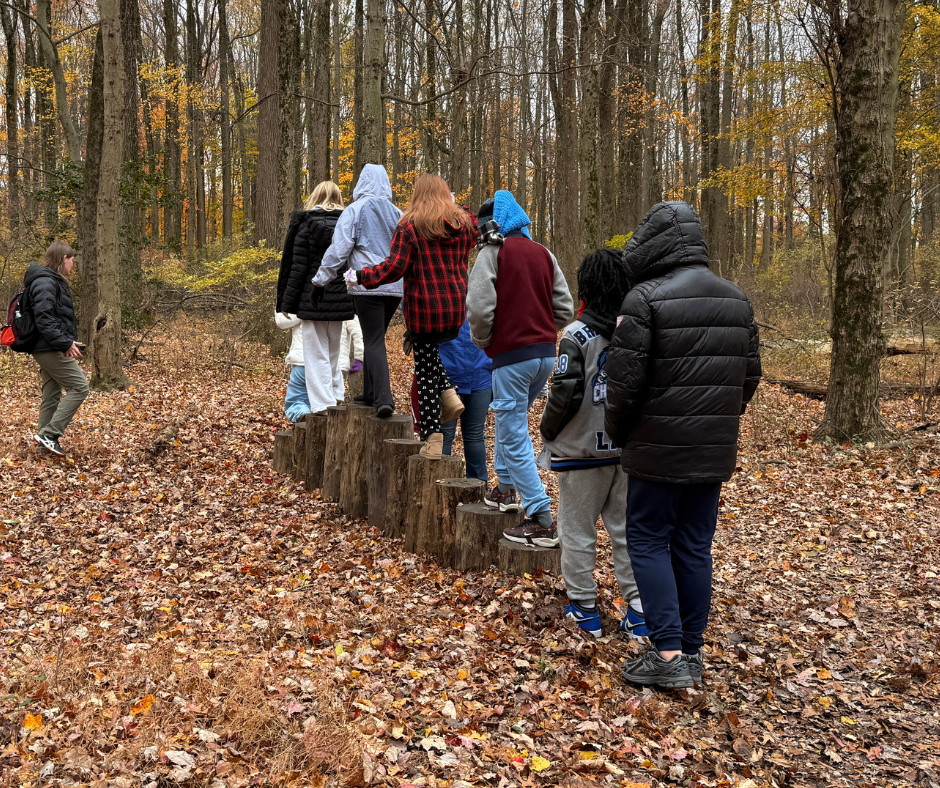 Students walking the log bridge at Croydon Woods
