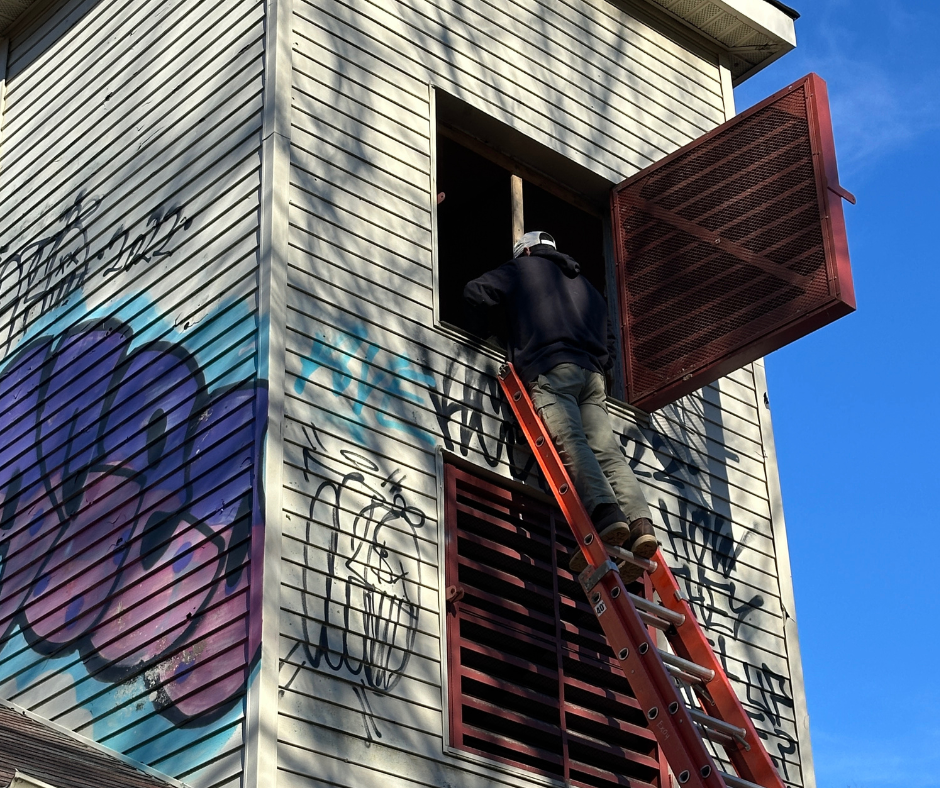 bat house opening Croydon Woods