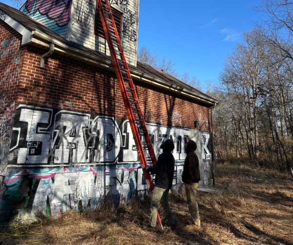 Pump House turned bat house at Croydon Woods