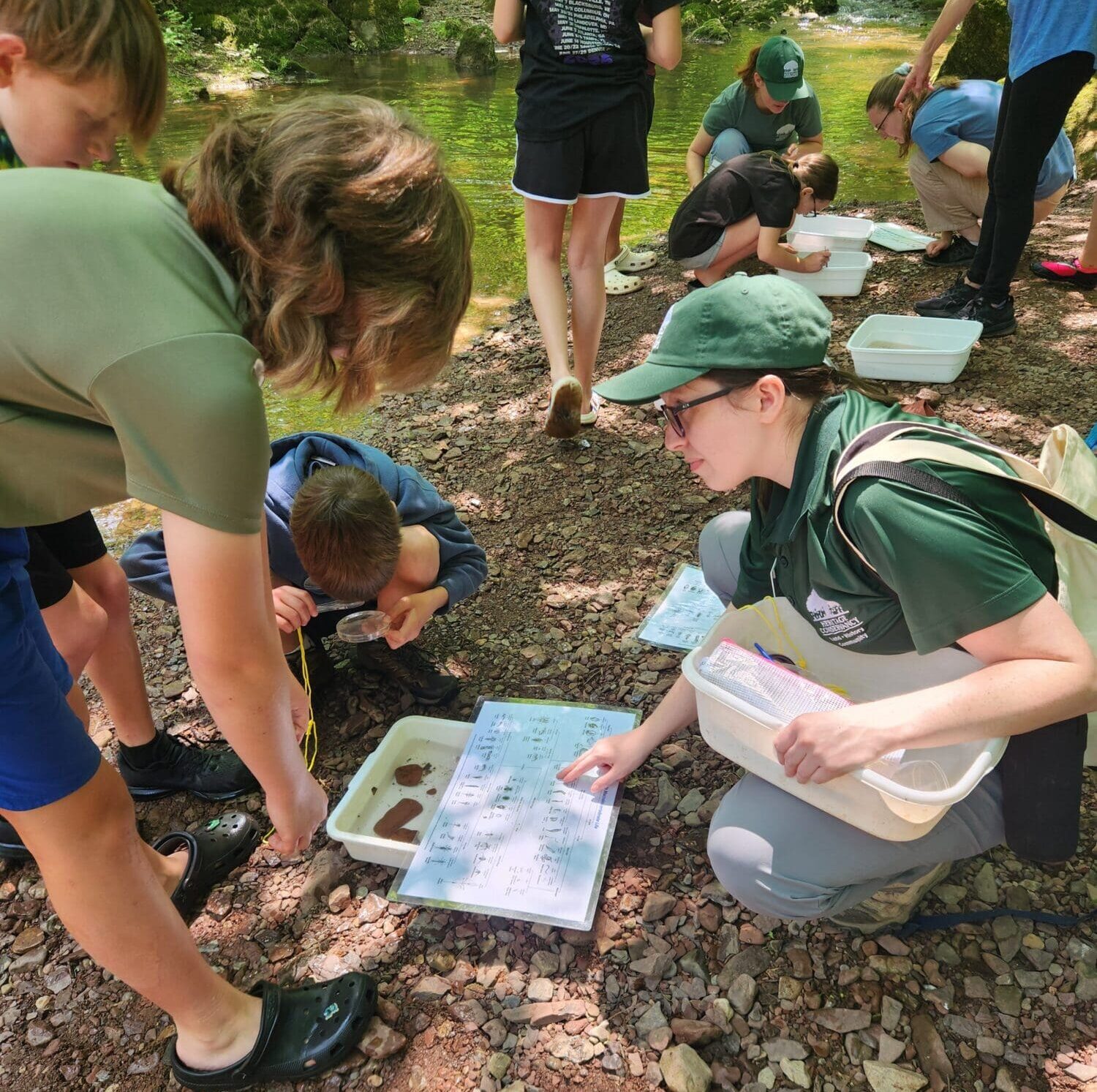 watershed environmental education
